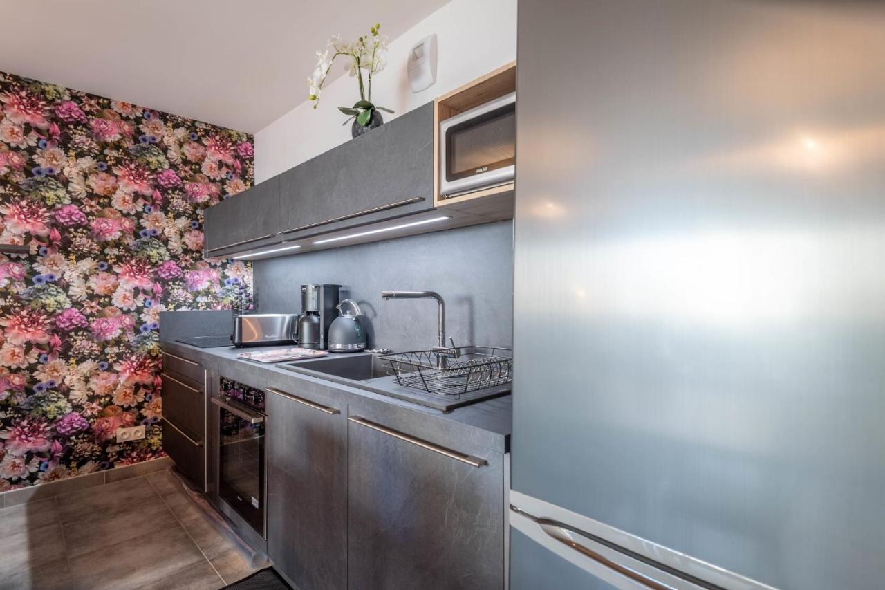 Vire Moulin Furnished Flat Apartment Annecy Exterior photo